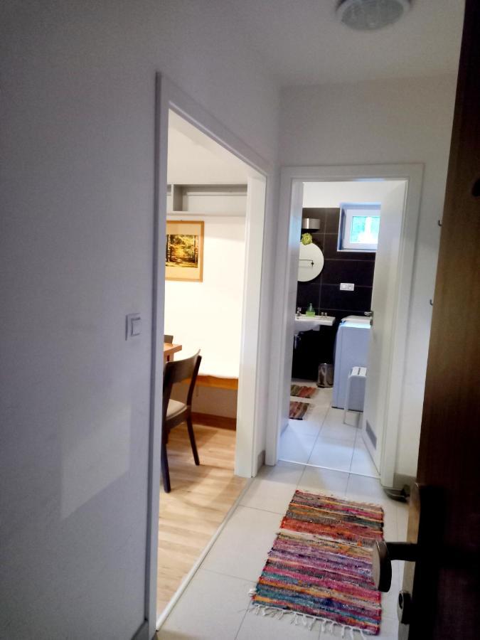 Apartmany Za Sneznikem Dolní Morava 외부 사진